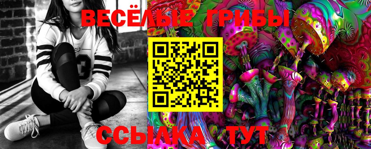 Галлюциногенные грибы MAGIC MUSHROOMS  Вход с VPN  Галлюциногенные грибы Psilocybe  Коммунар 