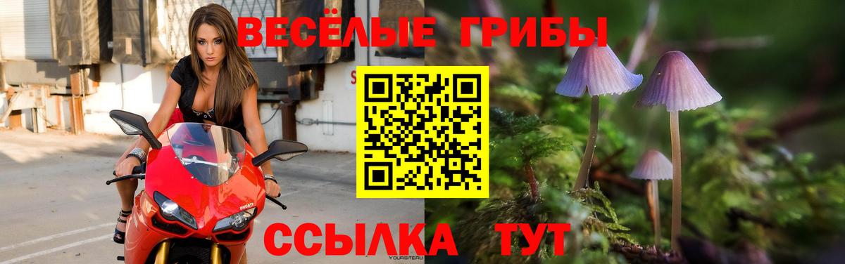ГАШ  НБОМе  Меф МЯУ МЯУ кристаллы  Героин  Коммунар  Вход с VPN  A PVP СОЛЬ   COCAIN  Каннабис 